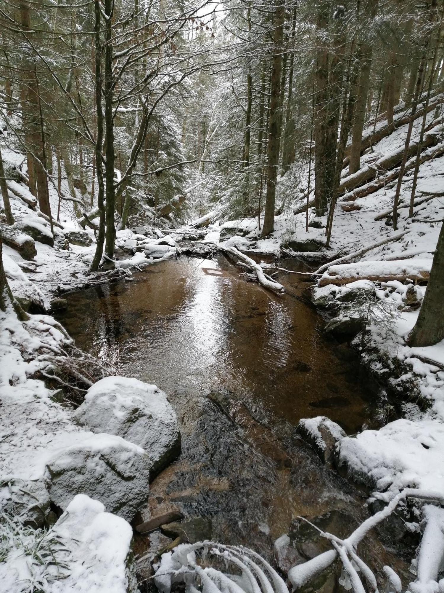 Blackforest Perla Гехеншванд Екстер'єр фото